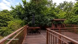 Opera Estate (D15), Terrace #566102151